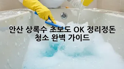 안산 상록수🏡 초보도 OK! 정리정돈 청소 완벽 가이드✨